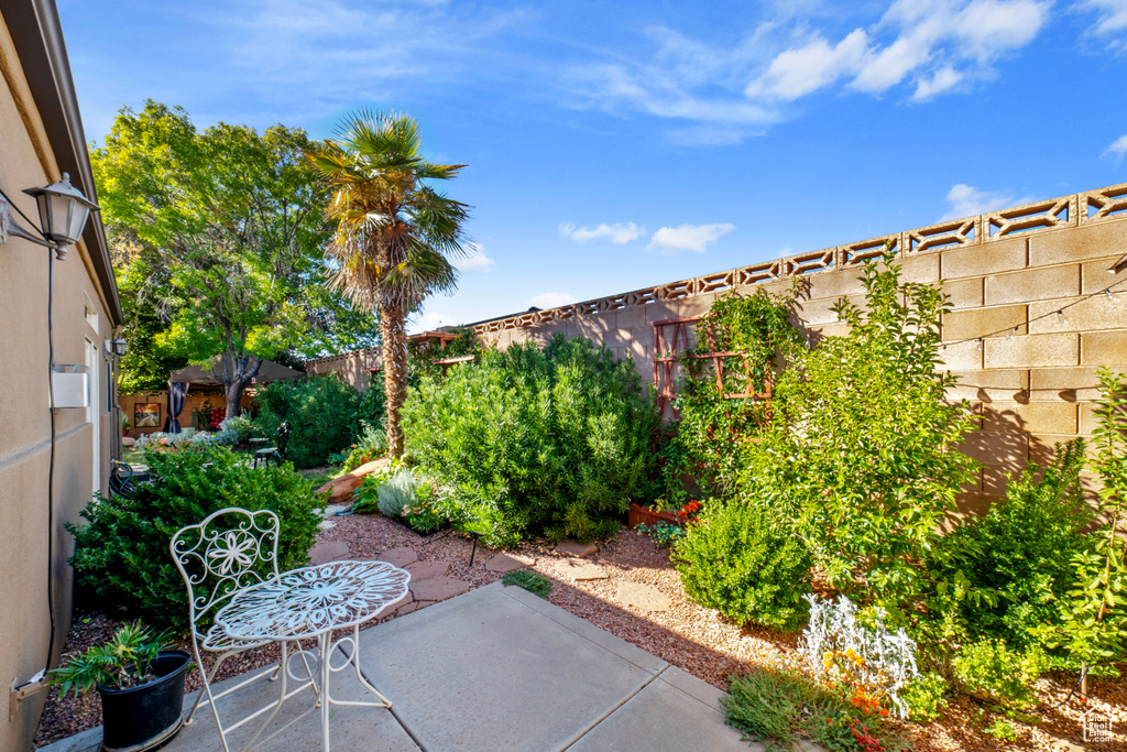 View of patio