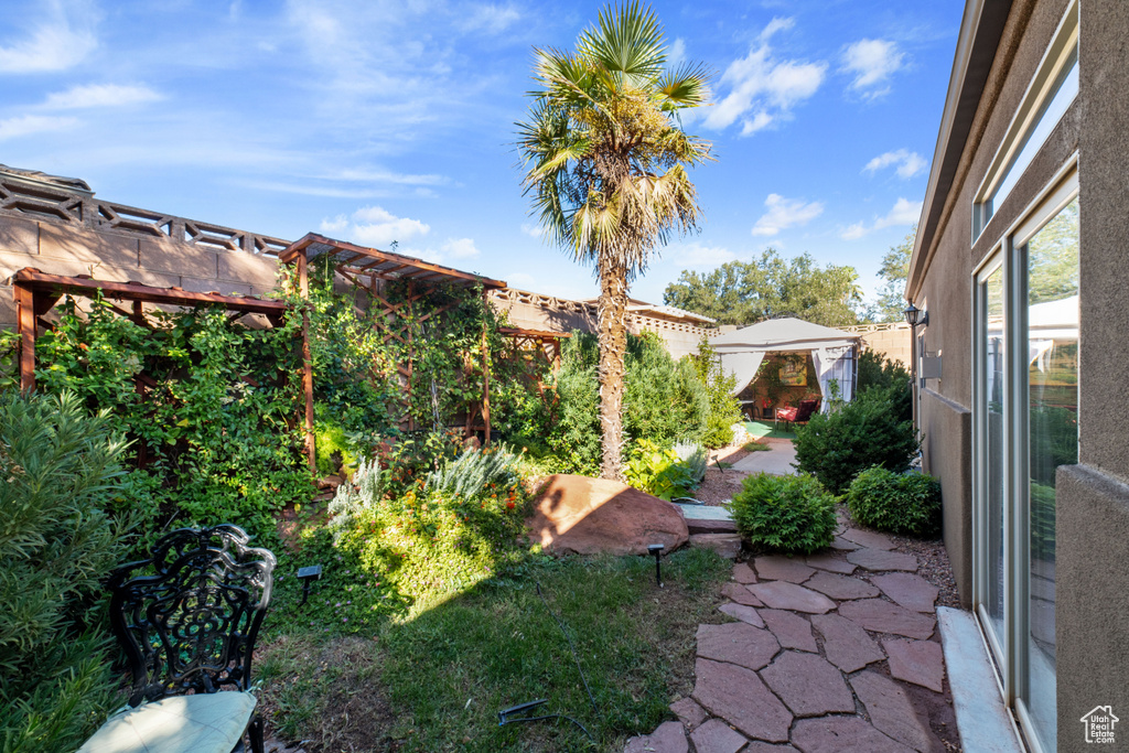 View of yard featuring a patio area