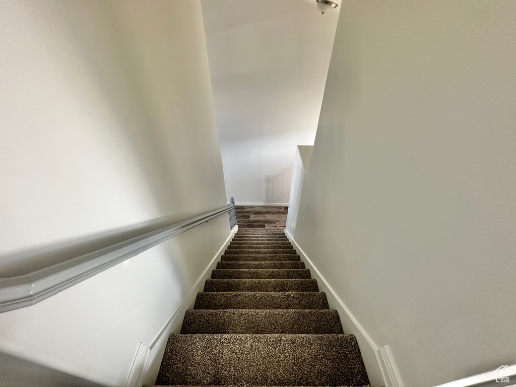 Stairs featuring carpet floors