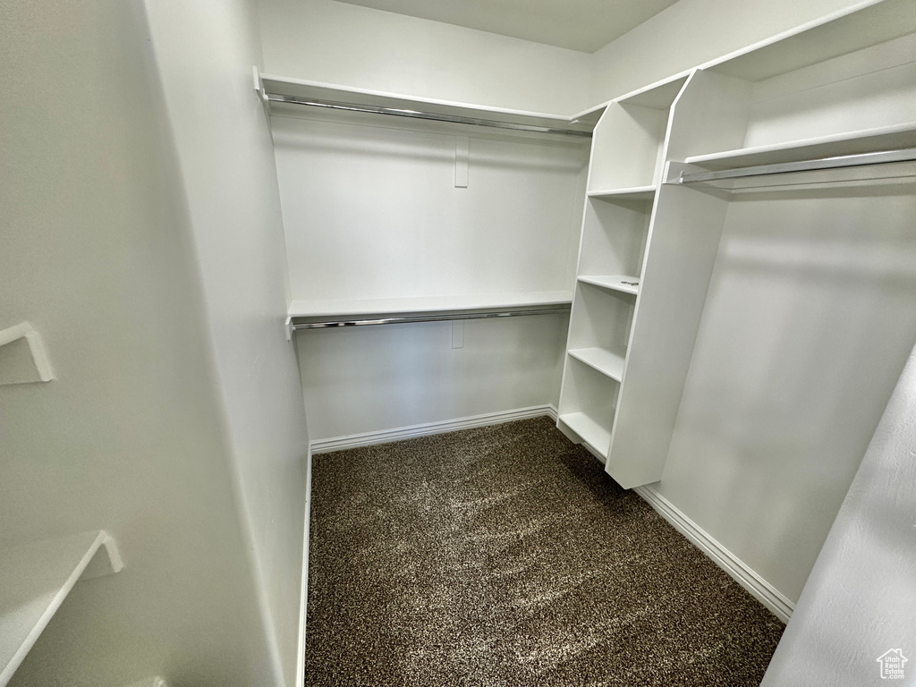 Spacious closet featuring dark colored carpet