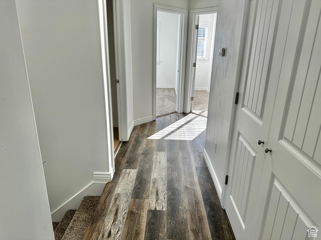 Hallway with dark hardwood / wood-style floors