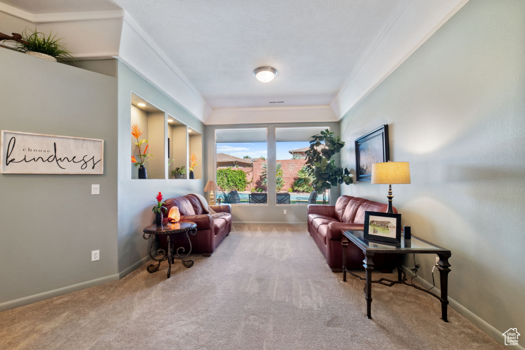 Sitting room featuring carpet floors and crown molding