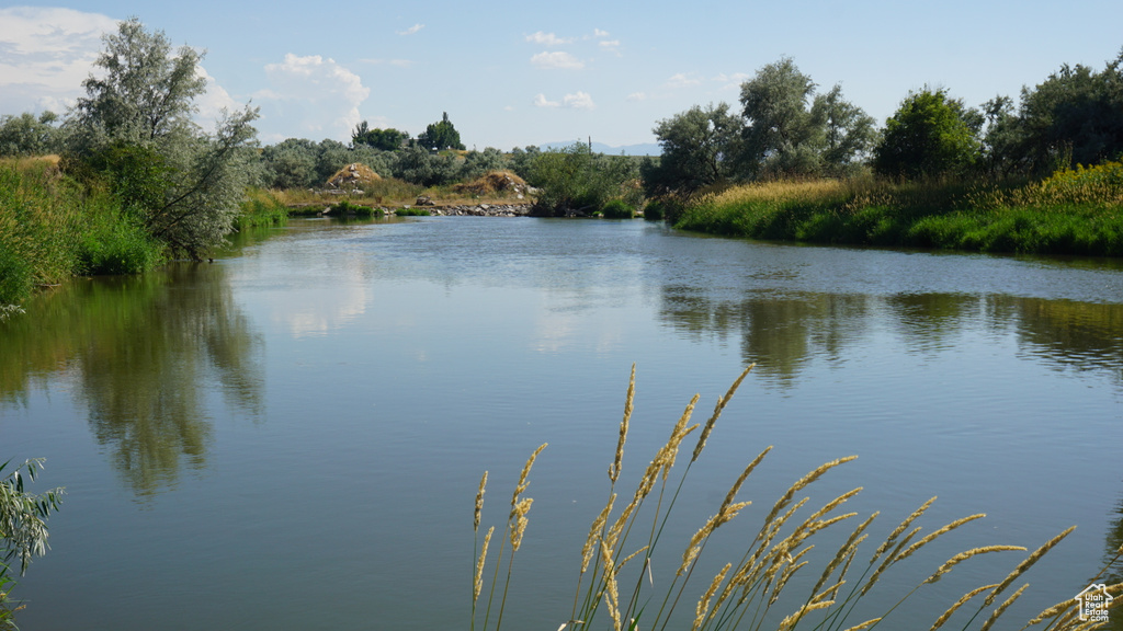 View of water feature