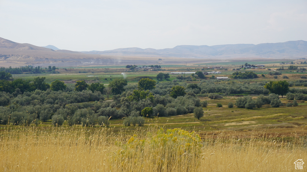 4650 S 1400 W Preston, ID 83263