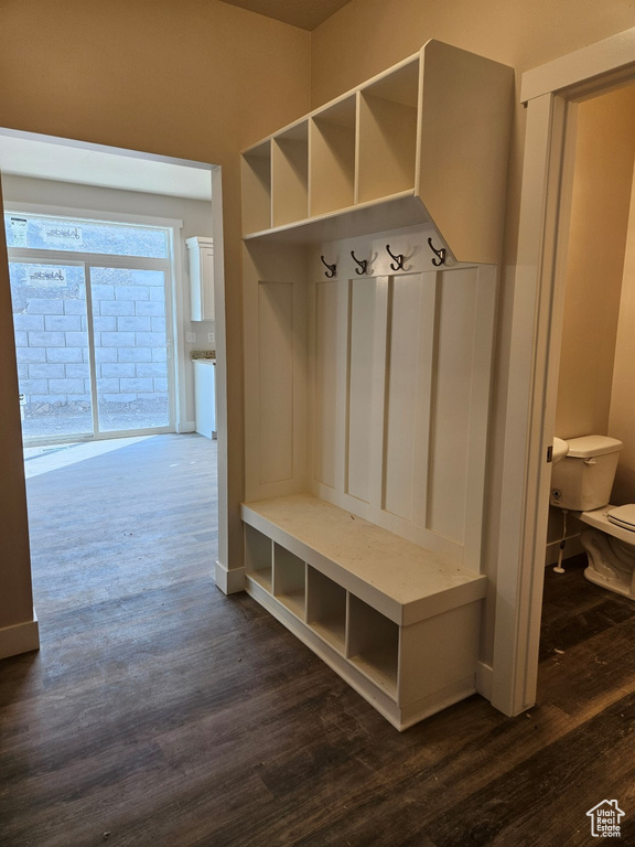 Mudroom featuring dark hardwood / wood-style flooring