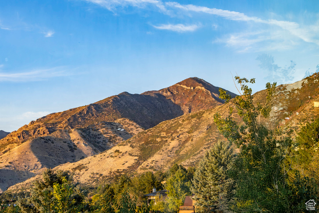 View of mountain background