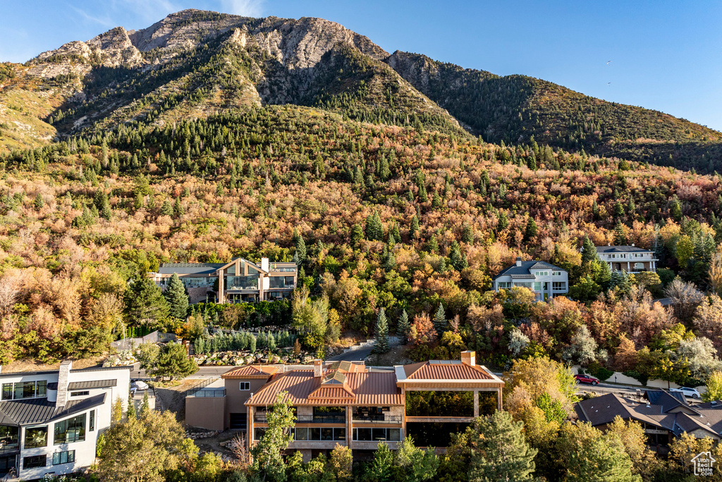 Mountain view featuring a forest
