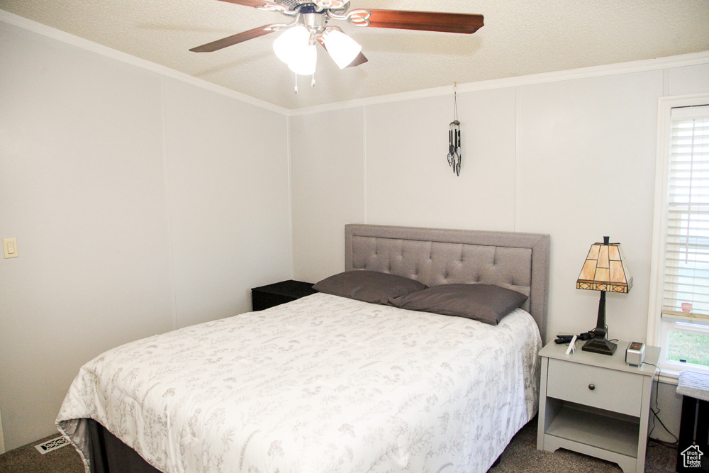 Carpeted bedroom with ceiling fan, a textured ceiling, ornamental molding, and multiple windows