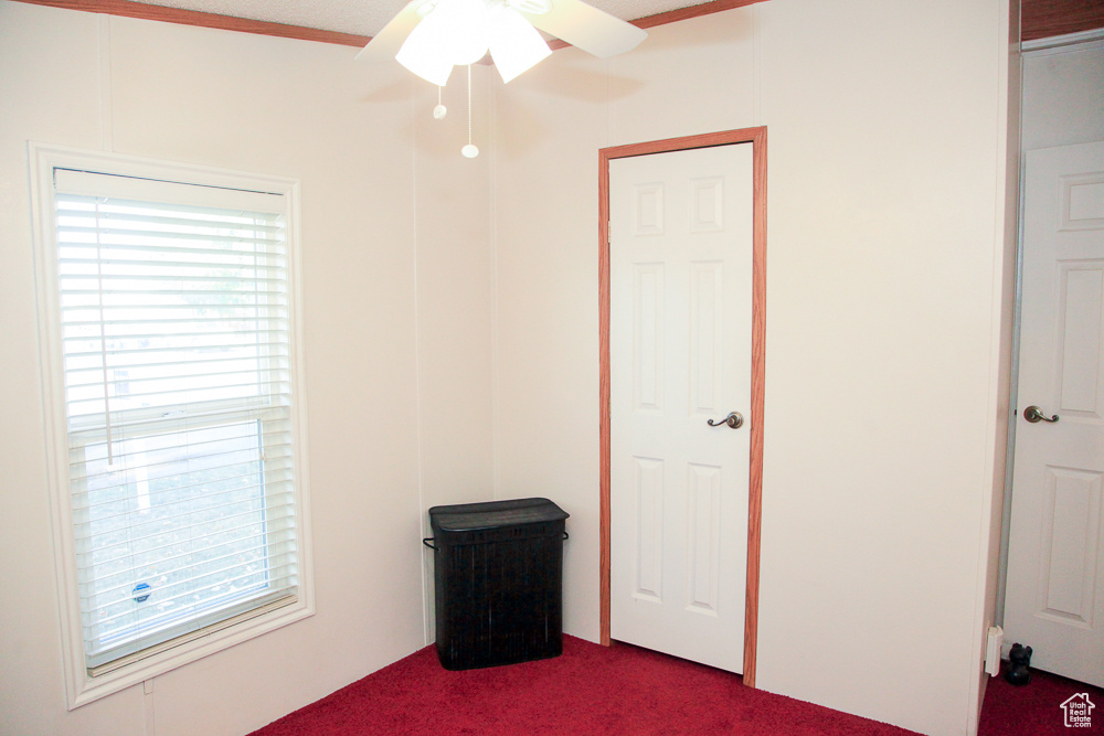 Unfurnished bedroom with carpet and ceiling fan