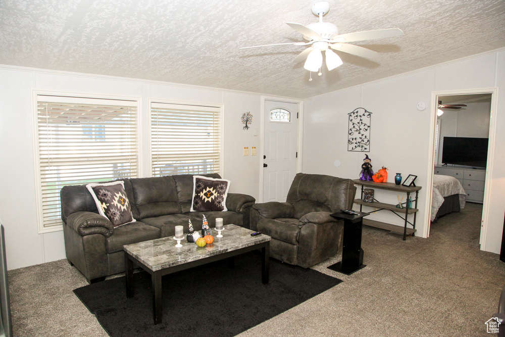 Carpeted living room with ceiling fan and a textured ceiling