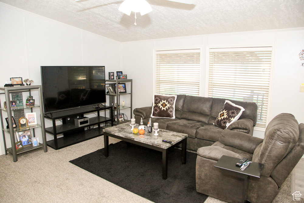 Living room with a textured ceiling, light colored carpet, ceiling fan, and crown molding