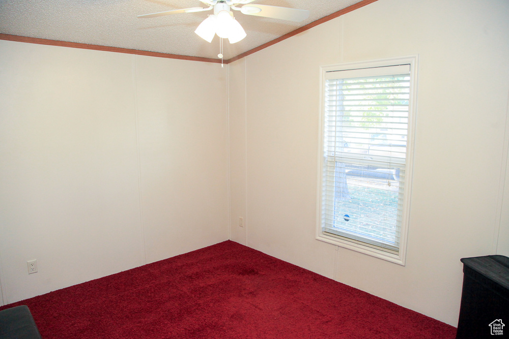 Unfurnished room featuring ornamental molding, lofted ceiling, a textured ceiling, and carpet floors