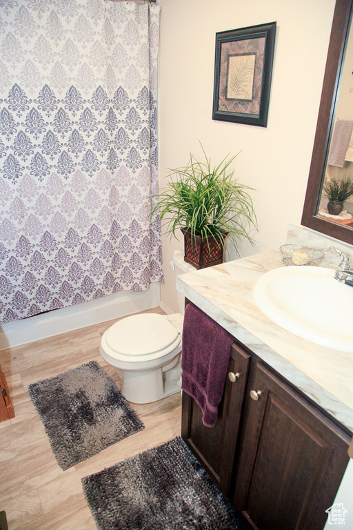 Bathroom featuring vanity, toilet, and hardwood / wood-style flooring