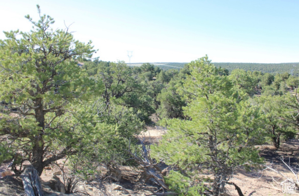 View of landscape