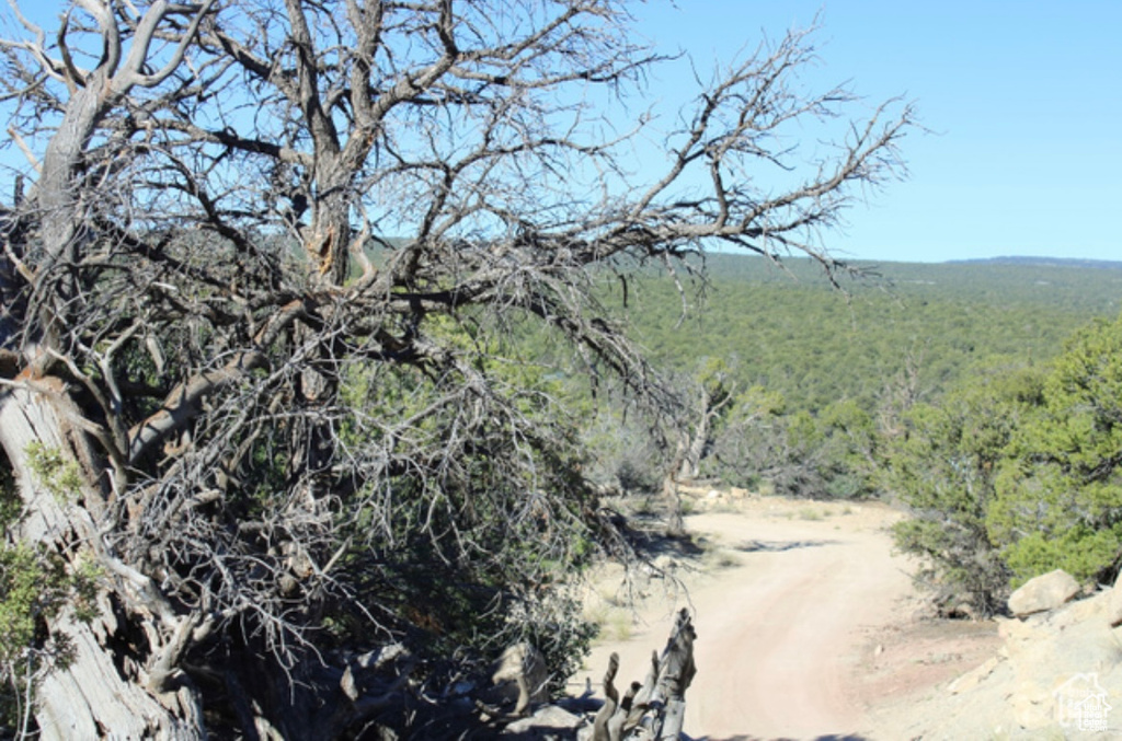 Property view of mountains