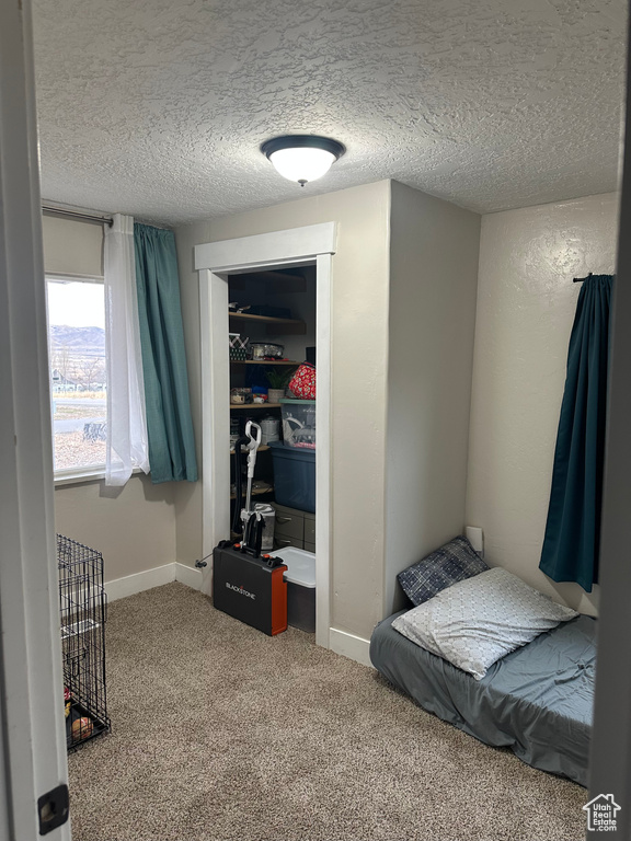 Bedroom with a textured ceiling and carpet floors