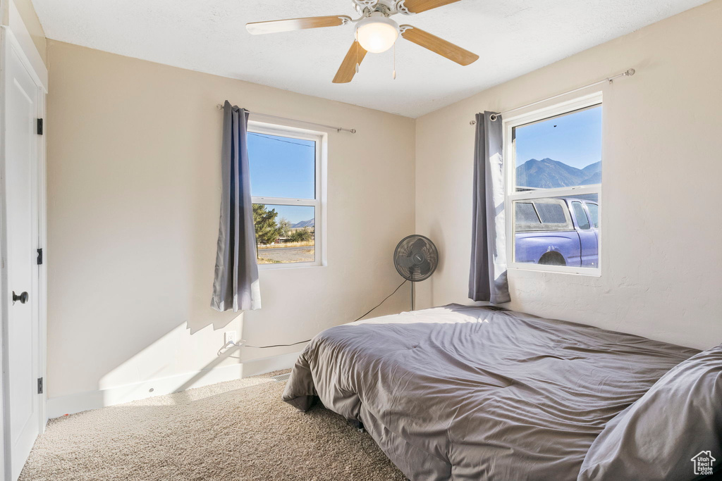 Carpeted bedroom with ceiling fan