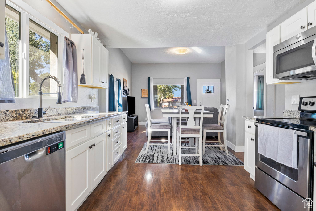 Kitchen featuring white cabinets, appliances with stainless steel finishes, a healthy amount of sunlight, and dark hardwood / wood-style flooring