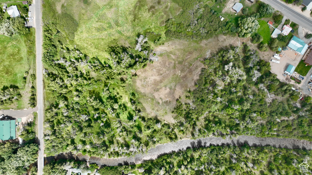 Bird\'s eye view