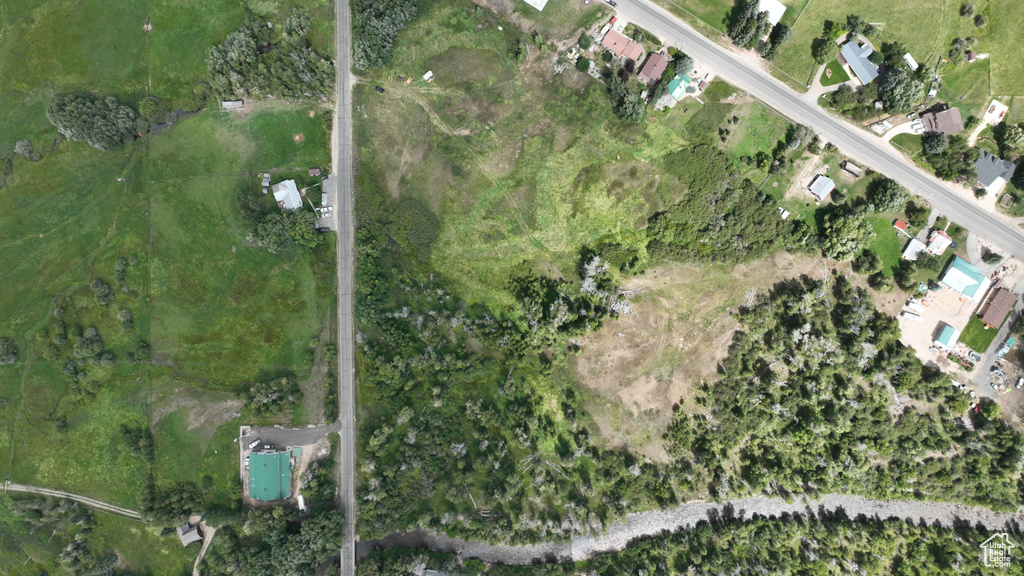Bird\'s eye view