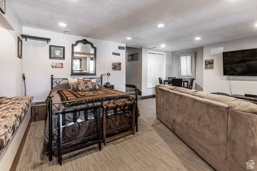 Carpeted living room featuring a textured ceiling and a healthy amount of sunlight