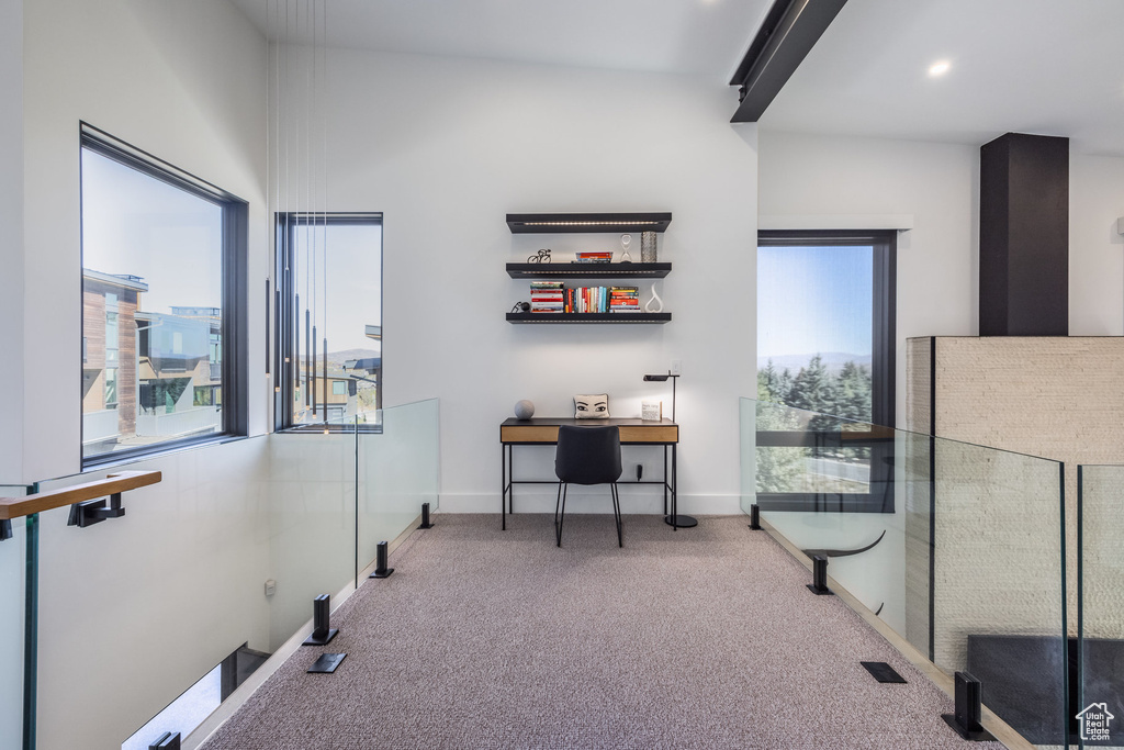View of carpeted office