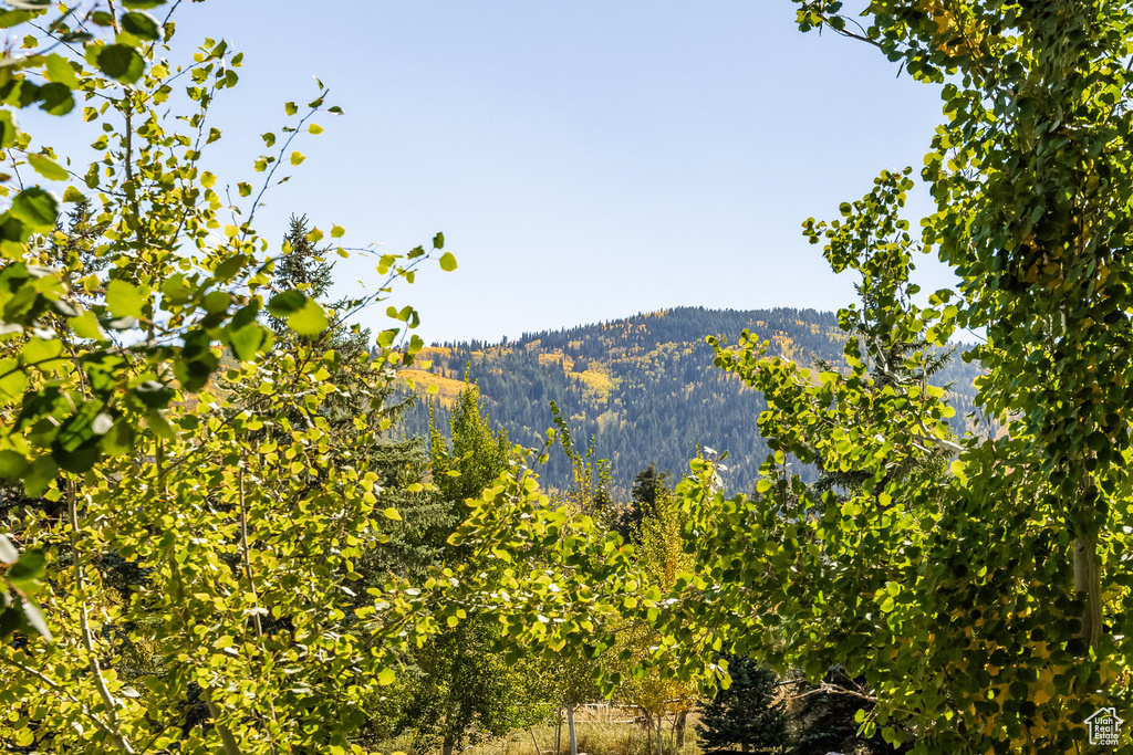 Mountain view