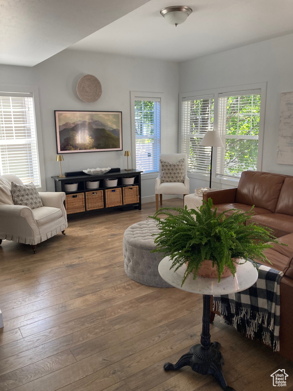 Living room with a healthy amount of sunlight and wood-type flooring