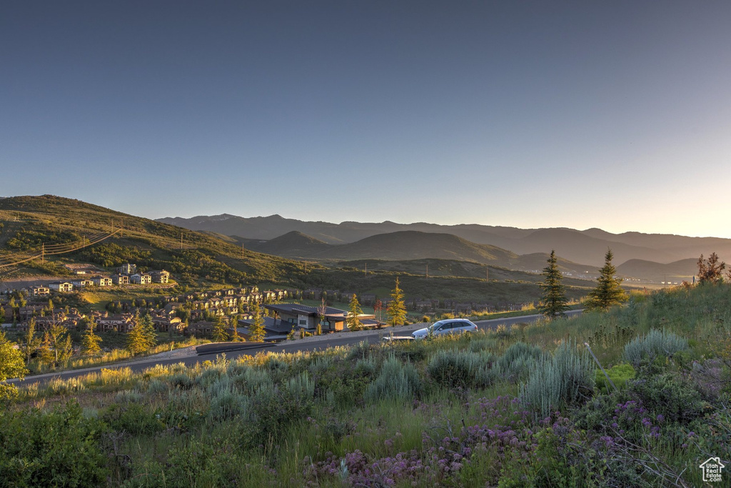 Mountain view