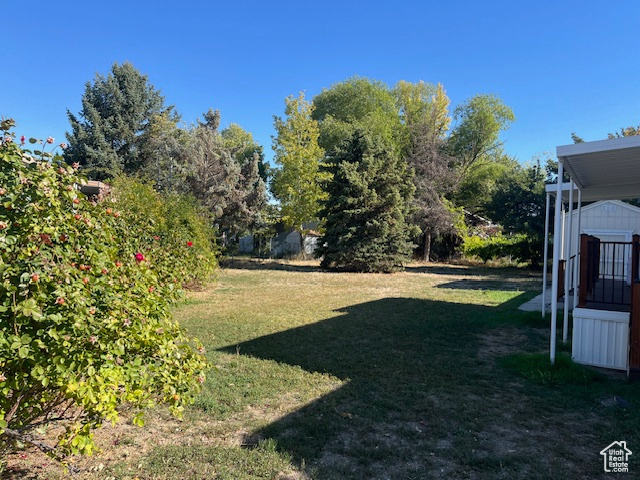 View of yard featuring a shed