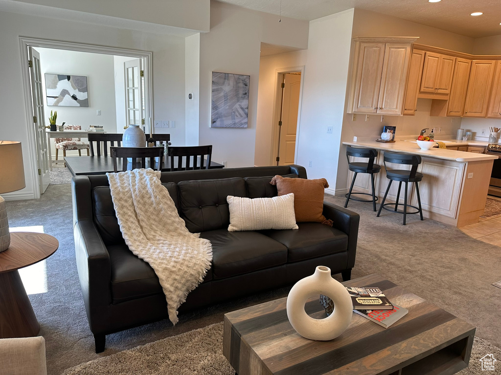 Living room with carpet