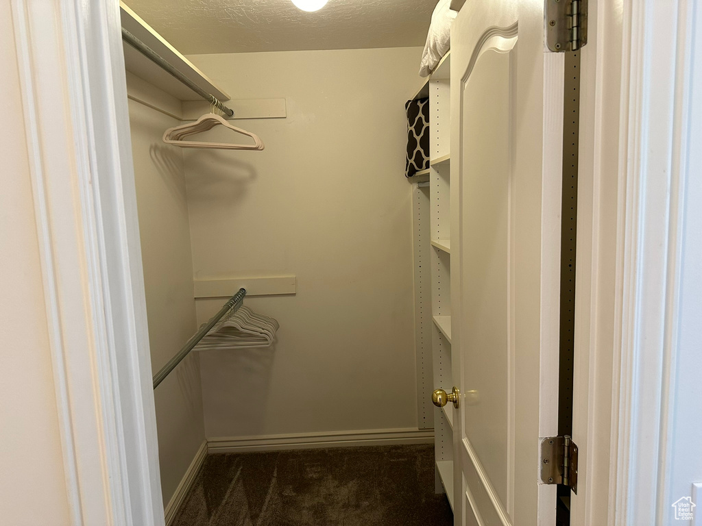 Spacious closet with dark carpet