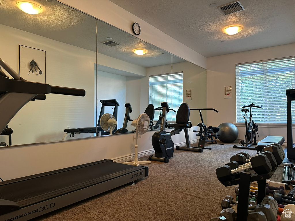 Workout room featuring a textured ceiling, carpet flooring, and a wealth of natural light