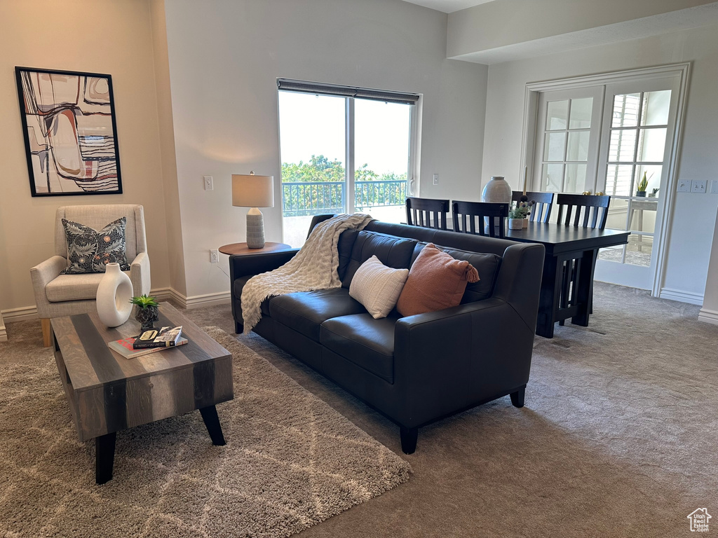 Living room with carpet floors