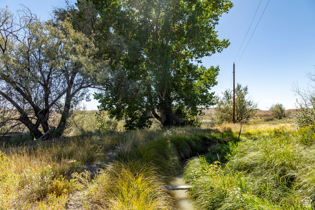 View of nature with a rural view