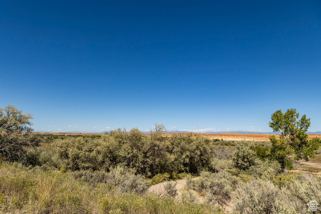 View of local wilderness with a rural view