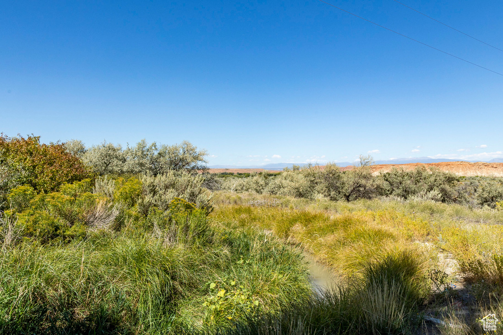 View of nature