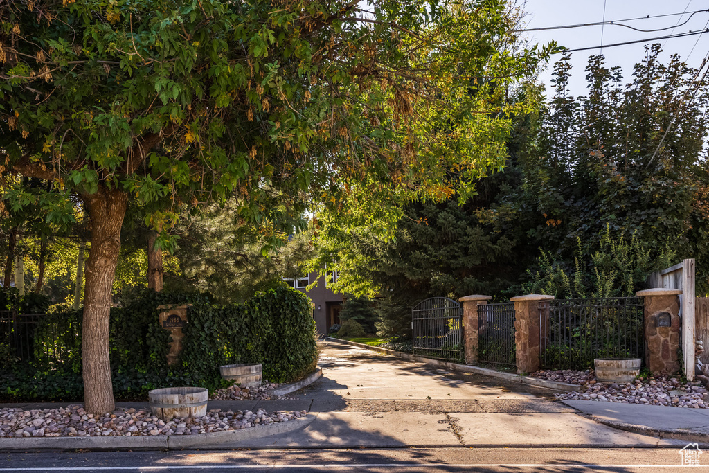 View of gate