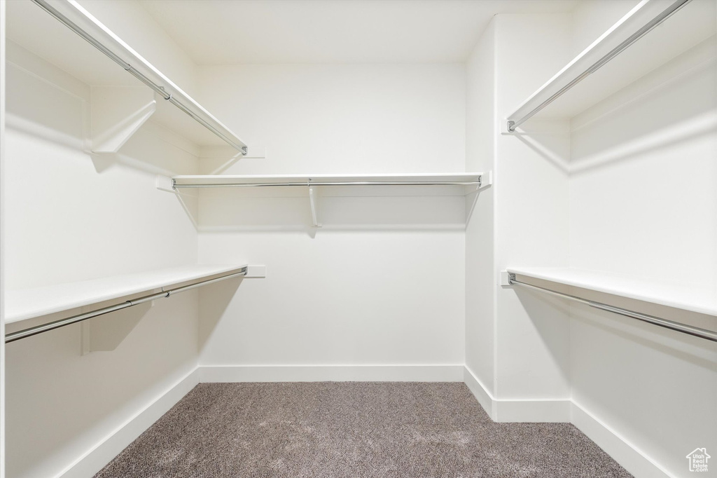 Walk in closet with carpet flooring
