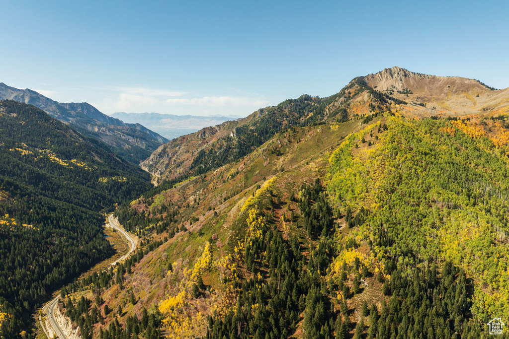 View of mountain backdrop with a heavily wooded area