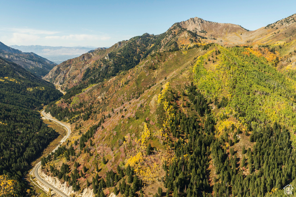 View of mountain background featuring a heavily wooded area