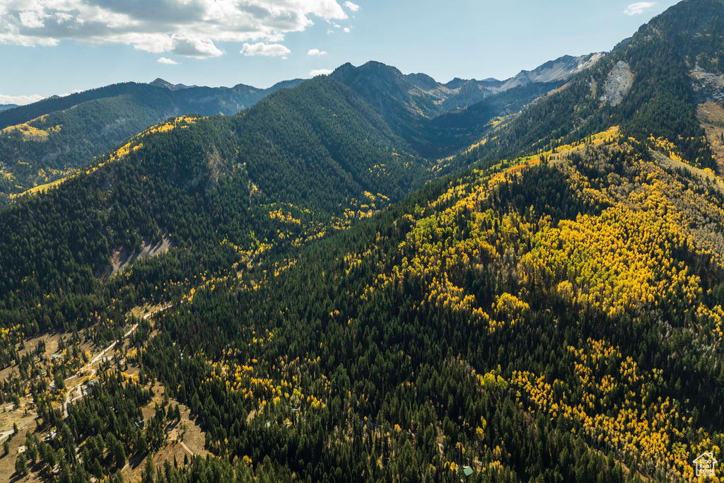 Mountain view featuring a forest