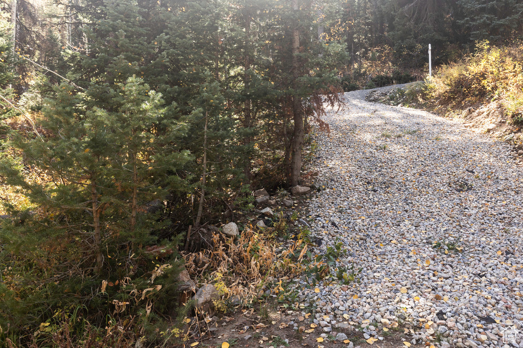 View of road with a wooded view