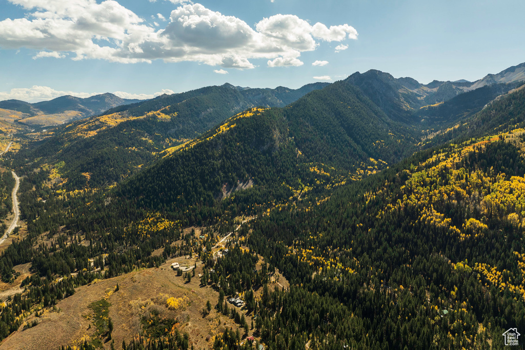 View of mountain backdrop with a forest