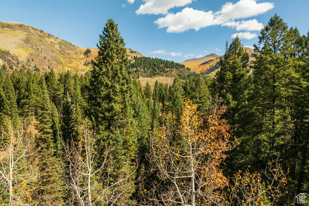 View of mountain backdrop featuring a heavily wooded area