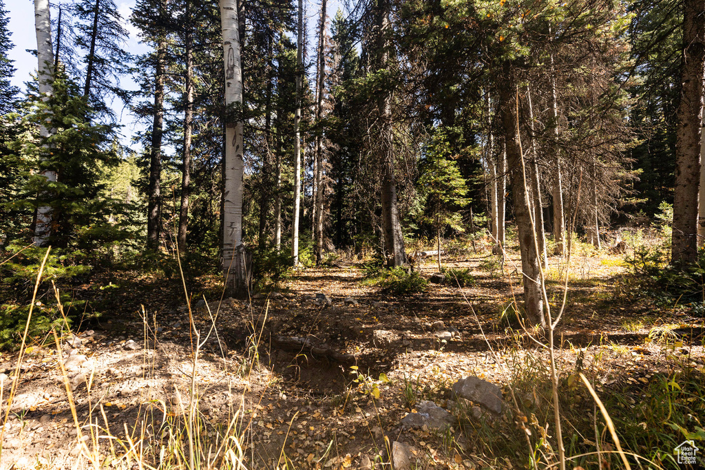 View of nature