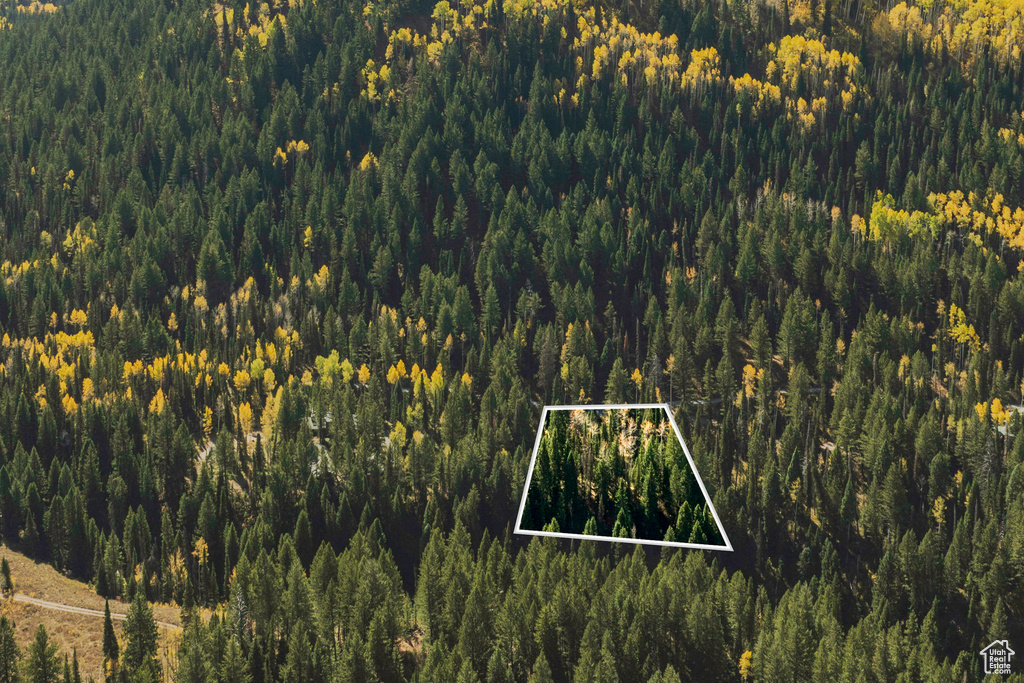 View of property location featuring a forest and property boundaries highlighted