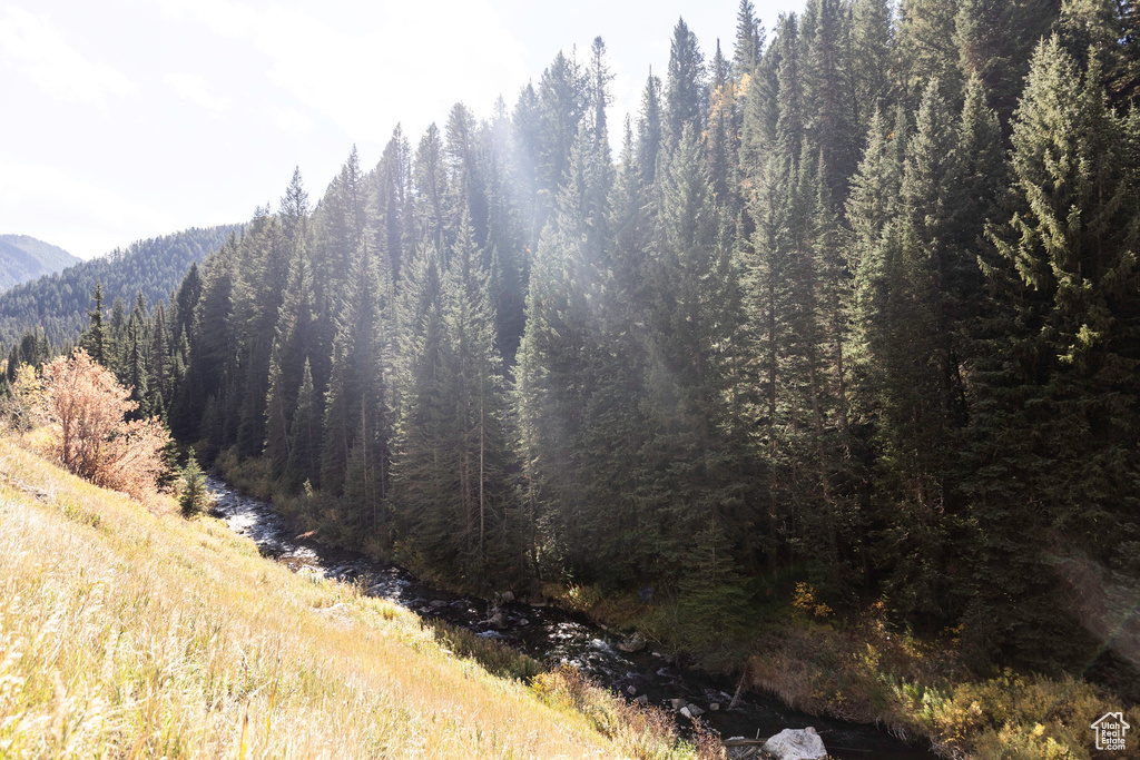 Mountain view featuring a forest