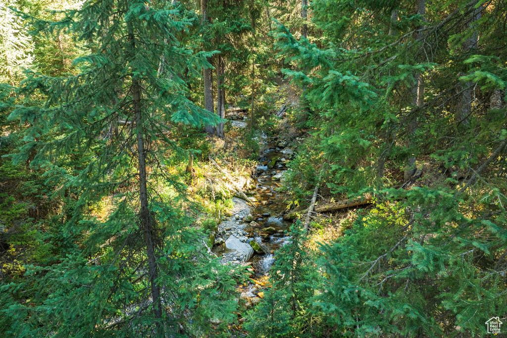 View of woods