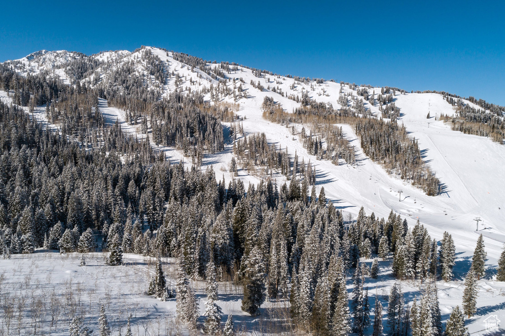View of mountain backdrop